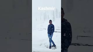 How Kashmir looks in Blizzard #travel #shorts #shortvideo #kashmir #snow #blizzard #incredibleindia