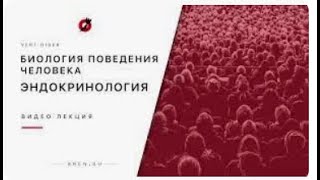 Биология поведения человека  Лекция #12  Эндокринология Роберт Сапольски, 2010  Стэнфорд