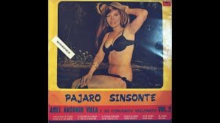 PAJARO SINSONTE ▶️🐦 - ABEL ANTONIO VILLA Y SU CONJUNTO VALLENATO