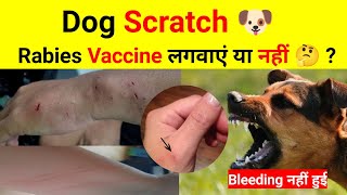 Dog Scratch 🐶 Rabies Vaccine लगवाएं या नहीं 🤔 ? Bleeding नहीं हुई