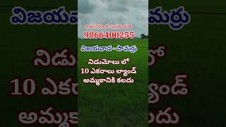 Land for Sale in Nidumolu | Pamarru | Vijayawada | నిడుమోలు | 9866400255 | #krishnadistrict