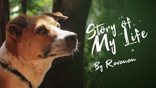 Raavana | Story of my Life | #dogs #puppy