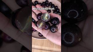 Muscadine fruit #shorts #fruit #muscadine