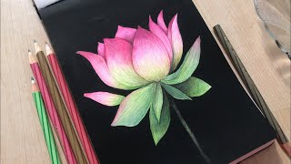 Realistic Watercolor Lotus | watercolor botanical painting #watercolor #realisticpainting #painting