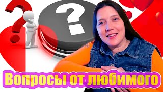 Отвечаю на вопросы своего любимого.