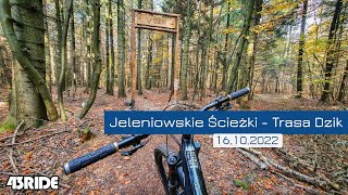 Jeleniowskie Ścieżki - Dzik - Full run - 16.10.2022