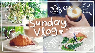 ♡ VLOG ✧.*⎪Sunday vlog⎪Morning routine⎪Plants propagation⎪Drawing process