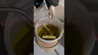 Things you need to do for CBD isolate processing