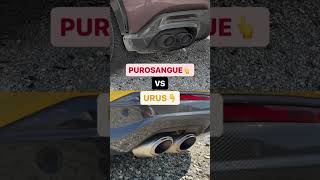 Purosangue VS Urus