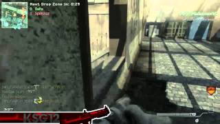 COD WIKI KSG12