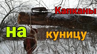 Проверка петель и капканов |ВЫХОДНОЙ