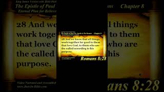 Happy Romans 8:28 #romans828