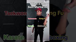 What’s The BEST Martial Art??🥋🥊⁉️