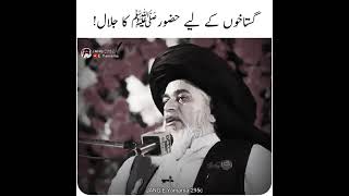 گستاخوں کے لیے حضور صلی اللہ تعالیٰ علیہ وآلہ وسلم کا جلال مبارک ⚔️🔥#tlp #295c #khr #viralvideo