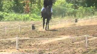 Pre-Training Dressage Test #2 -- 58%.  Woodwind Farm Horse Trials, August 26, 2011