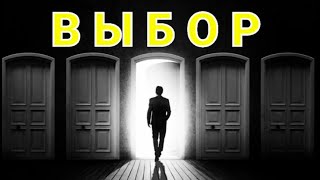 №231 Выбор.