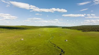 Epic place in Swedish Lapland! Vasikkavuoma mire & old haymaking traditions.