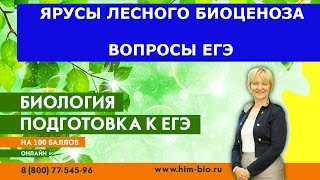 Ярусность леса. Это есть в ЕГЭ , ГИА,ОГЭ. Экология. Биология .Подготовка к экзамену.