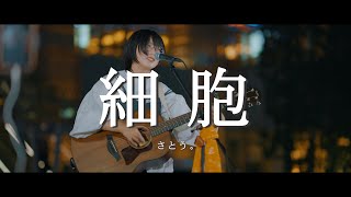 細胞 - さとう。 /  in 新宿路上ライブ