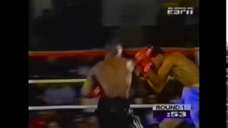 Floyd Mayweather vs  Ayala BEST OFFENSIVE MOMENTS