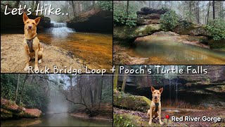 Rock Bridge Arch/Creation Falls Loop + Pooch's Turtle Falls - Red River Gorge - Kentucky - 12/26/23