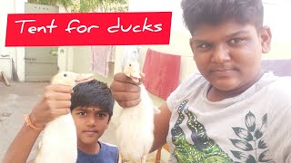 9115 M. GURUPRASATH CHANNEL.     Making Ducks  TENT