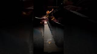 Falling into the Music 🍂❣️🎹 – Autumn Leaves by Reyhaneh Kholoosi