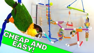 I Built a Floating Parrot Playground for Zazu!