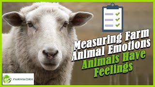 Measuring Farm Animal Emotions - Animals Have Feelings