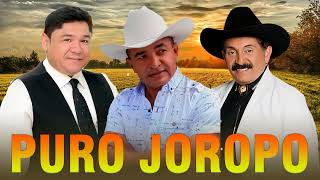 🐴Musica Llanera Variada🐴Armando Martinez, Vitico Castillo, Alejandro Rondon La Mejor Musica Llanera