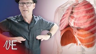 Sing from Diaphragm? Myth Busted - Watch Now! | #DrDan 🎤