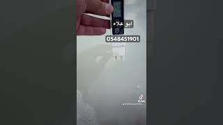 تحديد موقع المياه الابار الجوفية والسطحية 0548451901🇸🇦) جازان نجران ابو عريش أحد مسارحه جبال فيفة