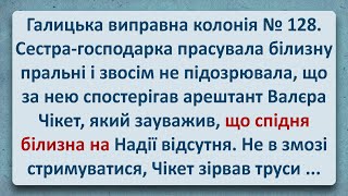 💠 Галицька Виправна Колонія №128! Українські Анекдоти! Анекдоти Українською! Епізод #257