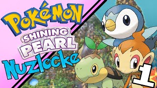 STARTING OUR GREAT ADVENTURE! | Shining Pearl Nuzlocke