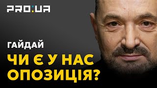 ГАЙДАЙ: В Україні політичної опозиції немає. Є політична конкуренція за владу політичних кланів