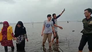 Aksi Penanaman Mangrove