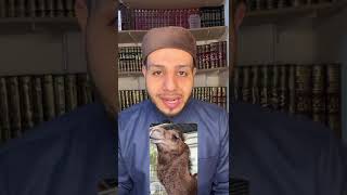 جمل يبكي عند سماع القرآن الكريم