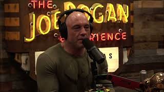 Joe Rogan has brilliant debate with Matt Walsh over Gay Marriage