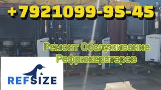 Ремонт Обслуживание рефрижераторов +7 (921) 099-95-45 ОБСЛУЖИВАНИЕ РЕФРИЖЕРАТОРОВ В СПБ