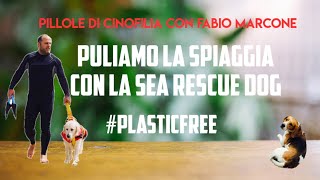 Puliamo la spiaggia con la Sea Rescue Dog #plasticfree