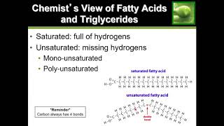 Saturated vs Unsaturated Fat