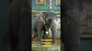 manakkula Vinayakar temple