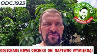 Odjechane nowe odcinki! Odwaliło mi! No to teraz będzie się działo! Odc.1293