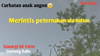 Curhatan kang Roni(Sawargi 86 Farm)