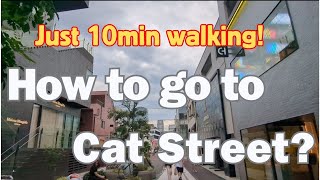 How to go to the Most Fashionable Street in Tokyo? Cat Street Harajuku