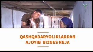 QASHQADORYOLILARDAN ANTIQA BIZNES G'OYA