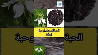 حبة أوصى بها النبي فيها شفاء لأي مرض #معلومات_إسلامية_islamic_information #الطب_النبوي #اعرف_اكتر