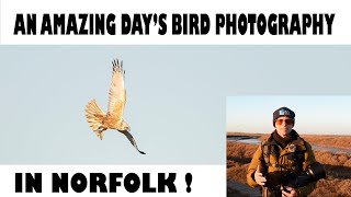 AMAZING DAY'S BIRD PHOTOGRAPHY IN NORFOLK