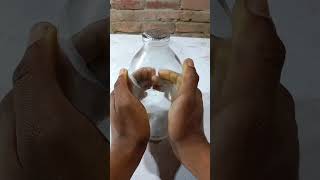 SCIENCE EXPERIMENT PRACTICAL। তাপমাত্রা বারলে বায়বীয় পদার্থের আয়তন বারে ব্যবহারিক #shorts