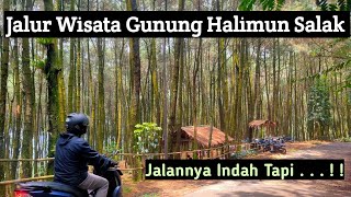 ANTI MACET.....!!!! JALUR TAMAN NASIONAL GUNUNG HALIMUN SALAK - DEPOK LEWAT TELAGA KAHURIPAN ....